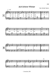 Ach bittrer Winter: Für Akkordeon (oder Bajan, oder Klavier) by folklore