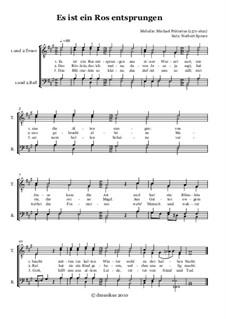 Es ist ein Ros entsprungen (A Rose Has Sprung Up): For male choir by Unknown (works before 1850)