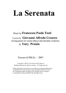 La serenata: For solo and chamber orchestra by Francesco Paolo Tosti
