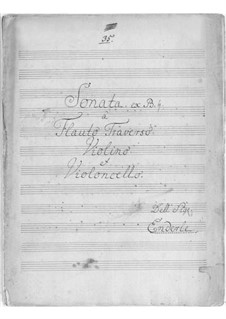Trio Sonata in B Flat Major: Trio Sonata in B Flat Major by Wilhelm Gottfried Enderle