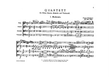 Quartet for Flute, Guitar, Viola and Cello, D.96: Quartet for Flute, Guitar, Viola and Cello by Franz Schubert