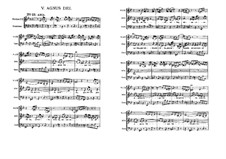 Agnus Dei: Full score by Johann Sebastian Bach