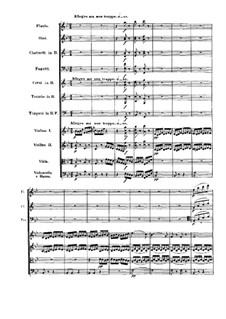 Symphony No.4, Op.60: Movement IV by Ludwig van Beethoven