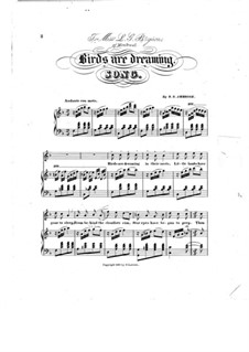 Birds are Dreaming: Birds are Dreaming by Robert Steele Ambrose
