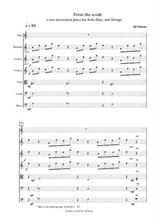 From the south (a two movement piece) for solo flute, strings and marimba: From the south (a two movement piece) for solo flute, strings and marimba by Ali Osman