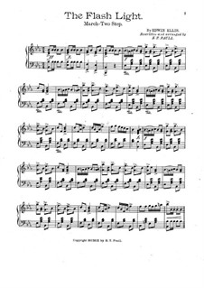 Flash Light: Flash Light by Edwin Ellis