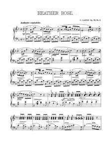 Stimmen aus der Kinderwelt. Zwölf leichte Vortragsstücke, Op.78: No.3 Haideröslein (Heather Rose) by Gustav Lange