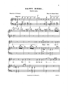 Happy Birds: Happy Birds by Eduard Holst