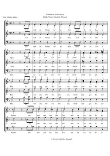 Winterreise, Nr.1-43, Op.23: Nr.4 Erstarrung by Werner Schneider-Wiegand