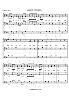 Winterreise, Nr.1-43, Op.23: Nr.7 Auf dem Flusse by Werner Schneider-Wiegand