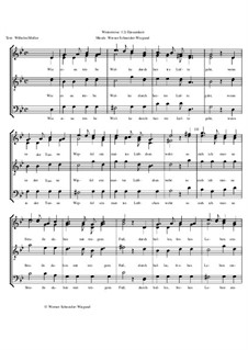 Winterreise, Nr.1-43, Op.23: Nr.12 Einsamkeit by Werner Schneider-Wiegand