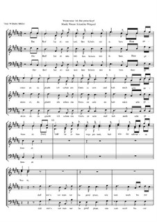 Winterreise, Nr.1-43, Op.23: Nr.14 Der greise Kopf by Werner Schneider-Wiegand