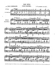 Le lys: Le lys by H. E. Lehmann