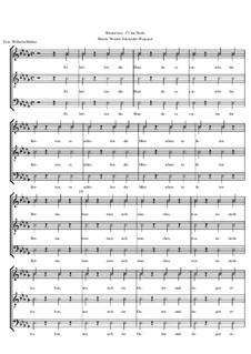 Winterreise, Nr.1-43, Op.23: Nr.17 Im Dorfe by Werner Schneider-Wiegand