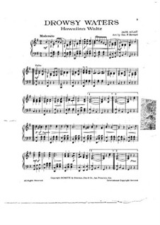 Drowsy Waters (Hawaiian Waltz): Drowsy Waters (Hawaiian Waltz) by Jack Ailau