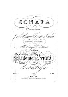 Sonata for Viola and Piano: Sonata for Viola and Piano by Marco Ressi