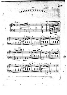 Skaters Festival: Skaters Festival by J. C. Engelbrecht