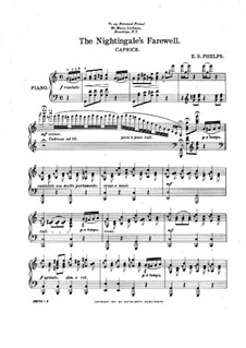 The Nightingale's Farewell: The Nightingale's Farewell by E. S. Phelps