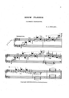 Snow Flakes: In G Flat Major by Robert A. Newland