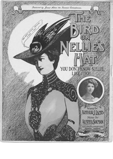 Bird on Nellie's Hat: Bird on Nellie's Hat by Alfred Solman