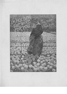 I'm Holding the Wire for You: I'm Holding the Wire for You by Alfred Solman