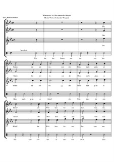 Winterreise, Nr.1-43, Op.23: Nr.18 Der stürmische Morgen by Werner Schneider-Wiegand