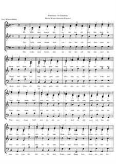 Winterreise, Nr.1-43, Op.23: Nr.19 Täuschung by Werner Schneider-Wiegand