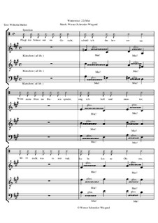 Winterreise, Nr.1-43, Op.23: Nr.22 Mut by Werner Schneider-Wiegand