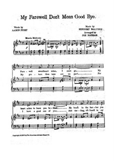 My Farewell don't Mean Goodbye: My Farewell don't Mean Goodbye by Herbert Walters