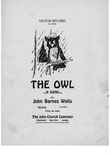 The Owl: The Owl by Jack Wells