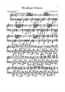 Woodland Echoes, Op.34: Version for piano by Addison Wyman