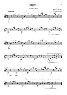 Этюд ми минор No.12: Этюд ми минор No.12 by Alexander Zatynchenko