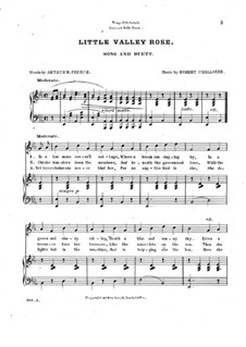 Little Valley Rose: Little Valley Rose by Robert Challoner
