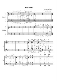 Ave Maria for Two Choirs: Ave Maria for Two Choirs by Jacobus Gallus