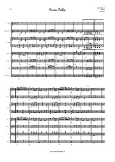 Annen Polka, Op.137: Version for salon orchestra by Johann Strauss Sr.