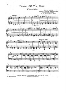 Dream of the Rose: Dream of the Rose by Joseph J. Kaiser