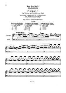 Sonata for Violin and Basso Continuo in E Minor, BWV 1023: Solo part by Johann Sebastian Bach