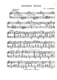 Sidonius Waltz: Sidonius Waltz by A. J. Montamat