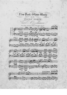 New York Water Music: New York Water Music by Theodore Marschhausen
