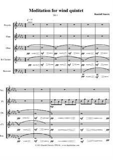 quintet wind variations musicaneo inside