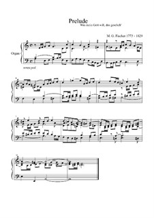 Prelude 'Was mein Gott' in A Minor: Prelude 'Was mein Gott' in A Minor by Michael Gotthard Fischer