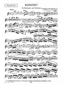 donizetti concertino pdf download donizetti concertino pdf download