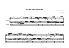 O Lamm Gottes, unschuldig, BWV 618: Für Orgel by Johann Sebastian Bach