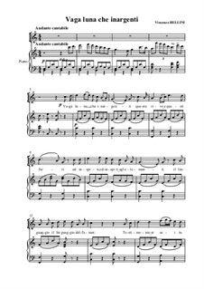 Vaga luna che inargenti : For voice and piano (C Major) by Vincenzo Bellini