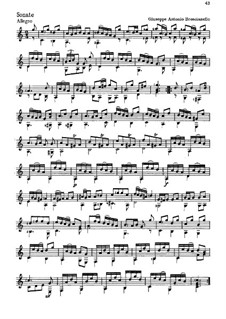 Sonata for Lute in C Major: Sonata for Lute in C Major by Giuseppe Antonio Brescianello