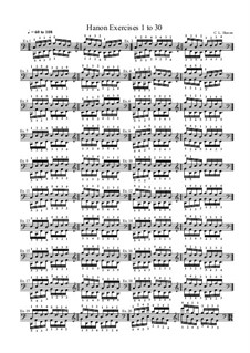 The Virtuoso Pianist: Exercises No.1-30 by Charles-Louis Hanon