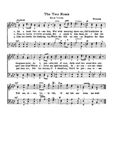 Once I Saw a Rose: In A Flat Major by Hildegard Werner