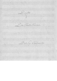 Duet for Two Flutes in D Major: Duet for Two Flutes in D Major by Franz Anton Hoffmeister