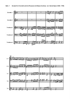 Sonata in A Minor for Brass Quintet: Full score, parts by Daniel Speer