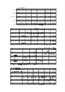 Woodwind Quintet in A Major, Op.91 No.5: Movement II by Anton Reicha